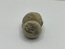 Load image into Gallery viewer, Cave pearl
