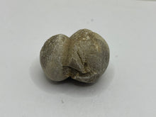 Load image into Gallery viewer, Cave pearl
