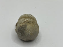 Load image into Gallery viewer, Cave pearl
