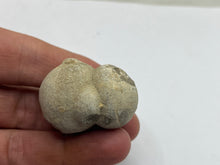 Load image into Gallery viewer, Cave pearl
