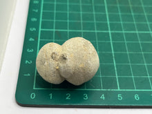 Load image into Gallery viewer, Cave pearl

