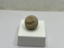 Load image into Gallery viewer, Cave pearl
