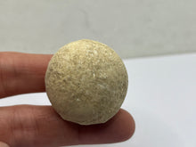 Load image into Gallery viewer, Cave pearl
