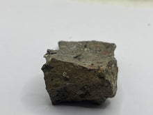 Load image into Gallery viewer, Alnoite
