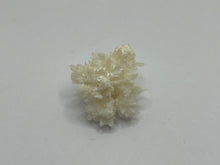 Load image into Gallery viewer, Coraloid aragonite
