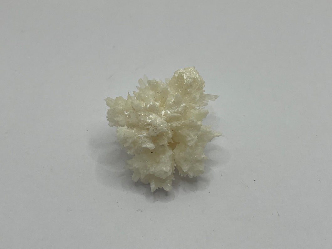 Coraloid aragonite