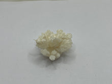 Load image into Gallery viewer, Coraloid aragonite
