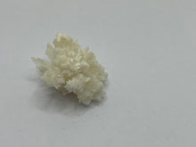 Load image into Gallery viewer, Coraloid aragonite
