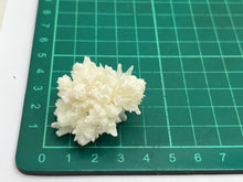 Load image into Gallery viewer, Coraloid aragonite
