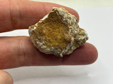 Load image into Gallery viewer, Jarosite
