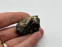 Load image into Gallery viewer, Fluoro-richterite
