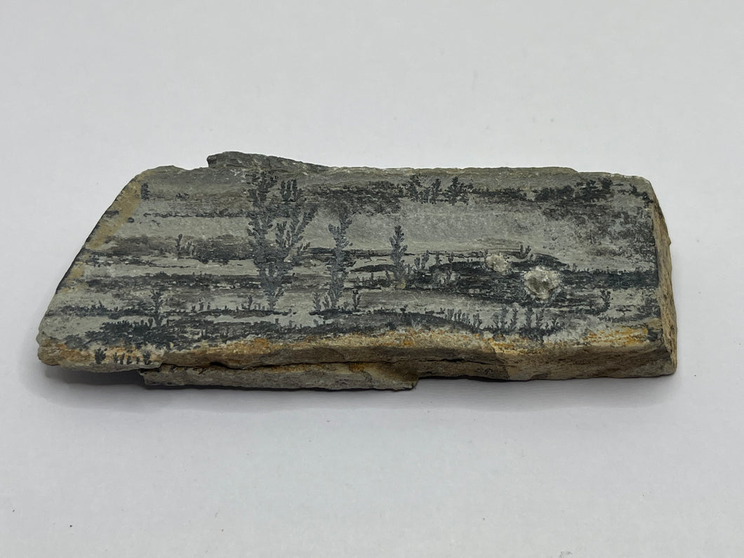 Dendritic Psilomelane/manganese