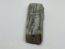 Load image into Gallery viewer, Dendritic Psilomelane/manganese
