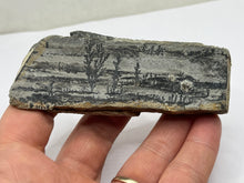 Load image into Gallery viewer, Dendritic Psilomelane/manganese
