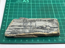 Load image into Gallery viewer, Dendritic Psilomelane/manganese
