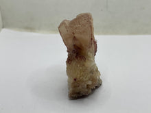 Load image into Gallery viewer, Trona
