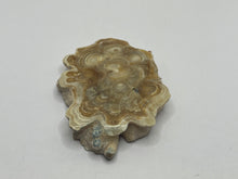 Load image into Gallery viewer, Aragonite Travertine
