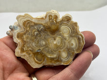 Load image into Gallery viewer, Aragonite Travertine
