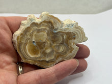 Load image into Gallery viewer, Aragonite Travertine
