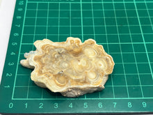 Load image into Gallery viewer, Aragonite Travertine
