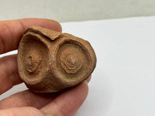 Load image into Gallery viewer, Sand stromatolites desert onion
