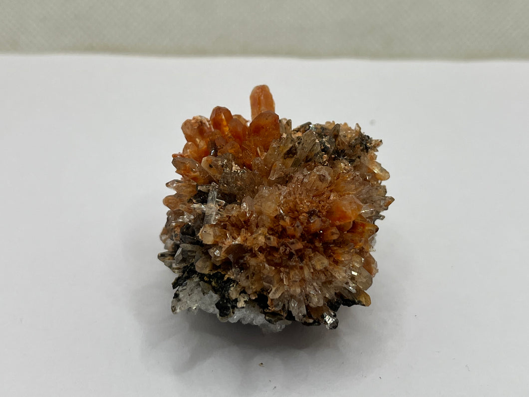 Creedite