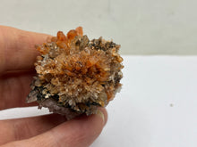 Load image into Gallery viewer, Creedite
