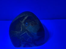 Load image into Gallery viewer, Septarian Freeform
