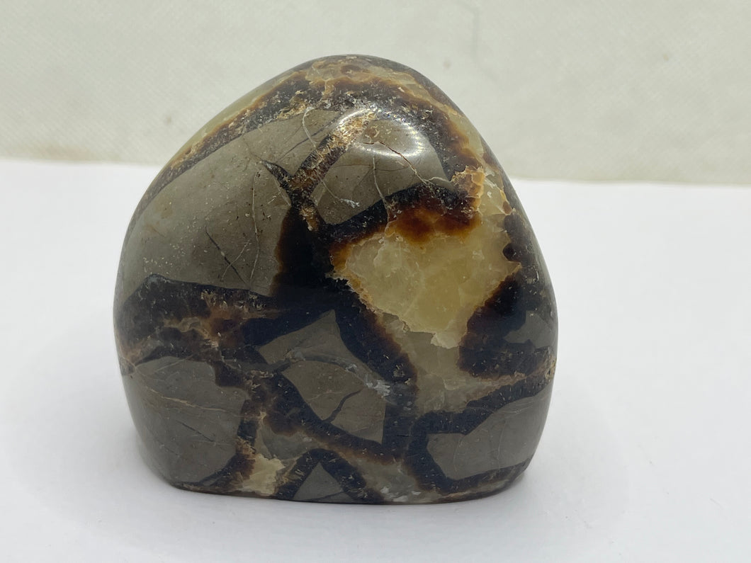 Septarian Freeform