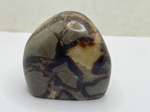 Septarian