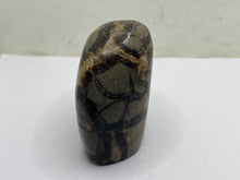 Load image into Gallery viewer, Septarian Freeform
