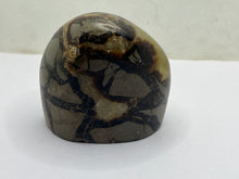 Load image into Gallery viewer, Septarian Freeform
