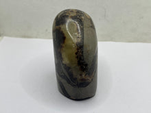 Load image into Gallery viewer, Septarian Freeform
