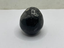 Load image into Gallery viewer, Orthoceras Egg
