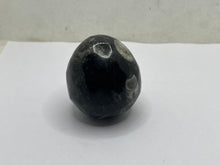 Load image into Gallery viewer, Orthoceras Egg
