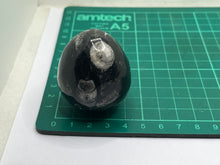 Load image into Gallery viewer, Orthoceras Egg
