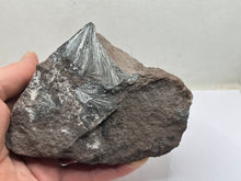 Load image into Gallery viewer, Pyrolusite
