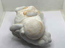 Load image into Gallery viewer, Menalite
