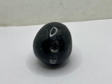 Load image into Gallery viewer, Orthoceras Egg
