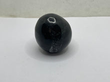 Load image into Gallery viewer, Orthoceras Egg
