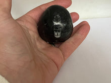 Load image into Gallery viewer, Orthoceras Egg

