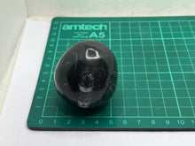 Load image into Gallery viewer, Orthoceras Egg
