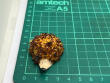 Load image into Gallery viewer, Amber hedgehog fridge magnet

