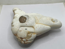 Load image into Gallery viewer, Menalite
