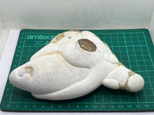 Load image into Gallery viewer, Menalite
