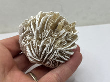 Load image into Gallery viewer, Desert rose gypsum
