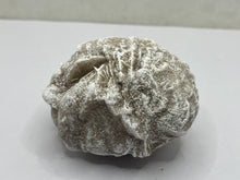 Load image into Gallery viewer, Desert Rose gypsum
