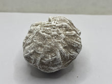 Load image into Gallery viewer, Desert Rose gypsum

