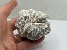 Load image into Gallery viewer, Desert Rose gypsum
