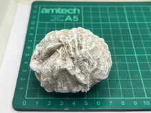 Load image into Gallery viewer, Desert Rose gypsum
